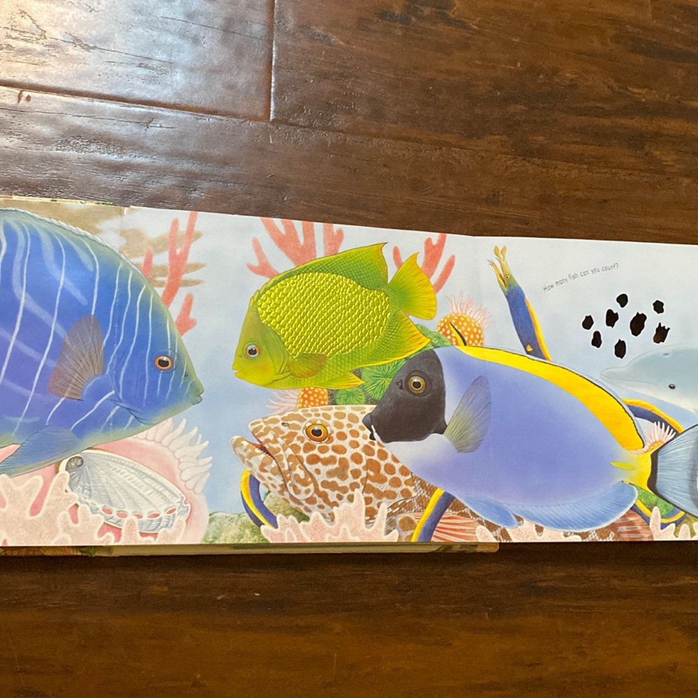 5/$10 Kids Picture Book | In the Ocean A Touch-and-Feel Adventure - Picture 4 of 4